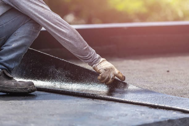 Professional Interior Drainage System technician working in Lamont, MI